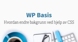 WP Basis